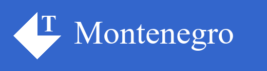 Logotipo oficial de MONTENEGRO Contable & ERP en Nicaragua